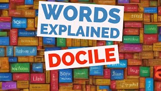 Docile  Words Explained [upl. by Cathi804]