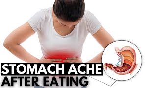 Digestive Drama The Science Behind Stomach Aches After Eating [upl. by Niro]