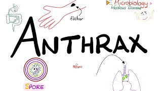 Anthrax  Causes Symptoms Diagnosis Treatment  Bacillus anthracis  Microbiology 🧫 [upl. by Belcher]