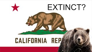 Californian Grizzly Bear Extinction Of The Biggest Land Predator In North America [upl. by Mcmurry963]