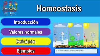 Homeostasis  Homeostasis fisiología  Homeostasis y medio interno [upl. by Hamel985]