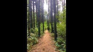 Topics in Endurance Sports Episode 21 Oak Openings Stampede 50K [upl. by Nisotawulo554]