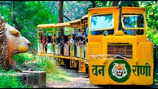 National Park in Borivali Mumbai  Sanjay Gandhi National Park  National Park Borivali Mumbai [upl. by Nov]