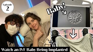 IVF Egg Retrieval amp Embryo Transfer  Our Fertility Journey Episode 2 [upl. by Aiepoissac125]