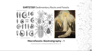 Biostratigraphy  EART27201  Sedimentary Rocks and Fossils [upl. by Lehcear]