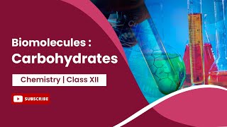 Carbohydrates  Biomolecules  Chemistry  Class 12 [upl. by Notffilc824]