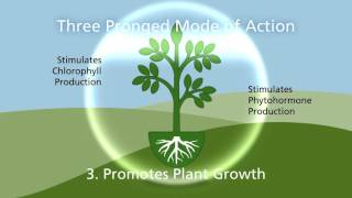 Heritage SC Fungicide Small Pack from Syngenta  Small pack Big results [upl. by Ethel708]