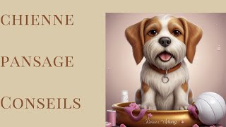 chienne pansage Conseils [upl. by Nevla]