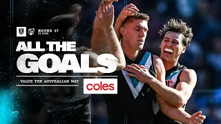 Coles Goals R17 Goals rain at Adelaide Oval [upl. by Einattirb]