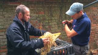 Hundreds of ex battery hens find new loving homes at rehoming day [upl. by Astiram]