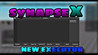 HOW TO DOWNLOAD THE LATEST SYNAPSE XIT IS WORKINGEXECUTOR ROBLOX 2024 [upl. by Holli561]