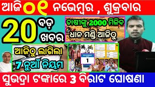 todays morning news odisha1 november 2024subhadra yojana online registrationodisha news today [upl. by Keon52]