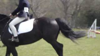 Misbehaved horse at show refuses [upl. by Jeraldine]