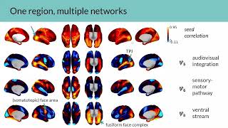 OHBM 2022  2609  Symposium  Hamid Behjat  Novel insights into brain organization via graph sig… [upl. by Aleunamme]