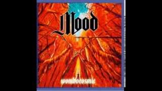 Mood  Wombocosmic Full Album [upl. by Acinnad]