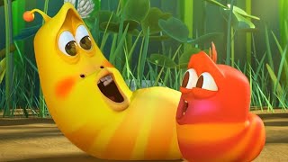 LARVA  LARVA BEBÉS  2018 Película Completa  Dibujos animados para niños  WildBrain [upl. by Friederike]