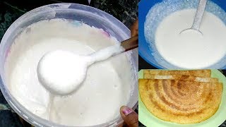 தோசை மாவு அரைப்பது எப்படி  How To Make Crispy Dosa Mavu  South Indian Recipes [upl. by Neom]