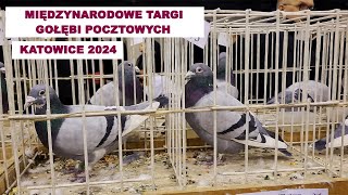 Międzynarodowe Targi Gołębi Pocztowych Katowice 2024 [upl. by Hawger]