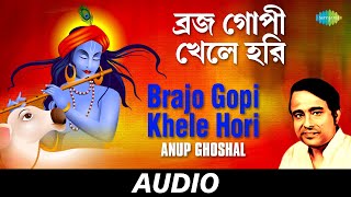 Brajo Gopi Khele Hori  All Time GreatsSongs Of Kazi Nazrul Islam  Anup Ghosal  Audio [upl. by Aicnarf65]