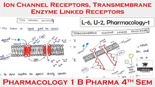 Ion channel receptors  transmembrane enzyme linked receptors  L6 U2  Pharmacology 4th Semester [upl. by Euphemie]