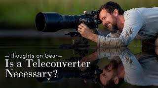 Are Teleconverters Necessary for Wildlife Photography [upl. by Einaoj]