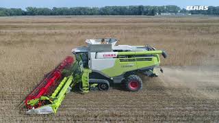 CLAAS In Campo 2018 LEXION 780 TERRA TRAC MIX Fiocchi [upl. by Harlen]