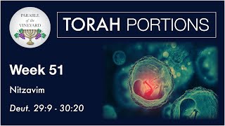 Torah Portions  Week 51  Nitzavim  Deuteronomy 299  3020 20202021 [upl. by Julina464]