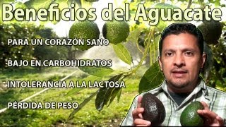 Beneficios del Aguacatepara un Corazón sano y Perdida de peso [upl. by Vala]