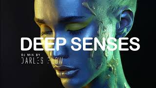 Darles Flow  Deep Emotional Senses  Deep House Mix [upl. by Lynnea178]