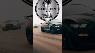 Thats a Ford Shelby GT 🔥🔥 ford shelby shelbygt fordshelby musclecar sportscar racingcar car [upl. by Arjan]