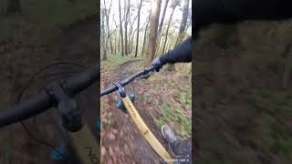 Eastridge woods finest steep trails  MTB Shropshire  orbea Rallon  insta 360 [upl. by Rodrich265]