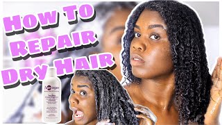 My wash day routine for dry damaged natural hair  aphogee two step protein treatment [upl. by Yanahc972]