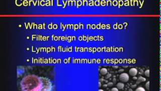 Cervical Lymphadenopathy [upl. by Ahsinrev]