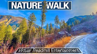 Montana Virtual Walking Trails for Treadmill  New Trail  City Walks 4K [upl. by Nnylhtak393]