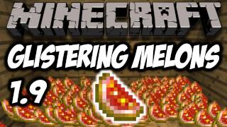 Minecraft 19  Glistering Melons HD [upl. by Lednew]