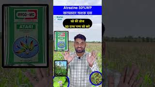 एट्राज़िन से मक्का और गन्ना के सभी चारे खत्म  Atrazine 50 wp herbicide shorts farming herbicide [upl. by Sucramaj143]