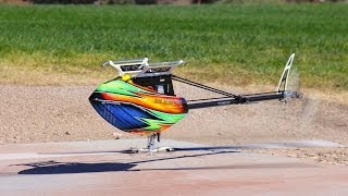 Alan Szabo Jr ALIGN Trex 800E DFC 850MX Dominator 252014 [upl. by Sikorski253]