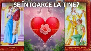 SE INTOARCE LA TINE Etalare interactiva Tarot interactiv Alege o carte TaroTerapia [upl. by Jonna]