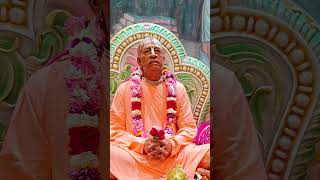 guru Dev shorts shortvideo youtubeshorts youtube yt krishnaconsciousness bhakti harekrishna [upl. by Lraep]