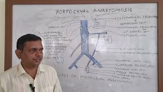 PORTOCAVAL ANASTOMOSIS PORTOSYSTEMIC ANASTOMOSIS ABDOMEN ANATOMY [upl. by Notwal]