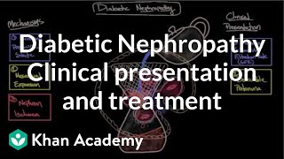 Introduction to Nephrology amp Glomerulonephritispart 1 [upl. by Aznofla]