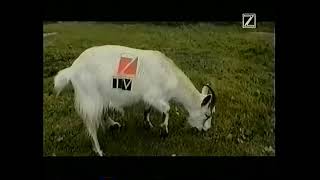 ZTV  Ident 1996 [upl. by Aimal414]