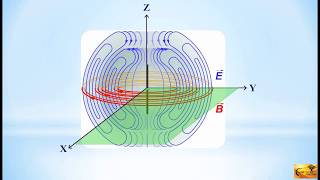 CST Tutorial Halfwave Dipole Simulation Boundary Conditions amp Mesh Generation [upl. by Canfield]