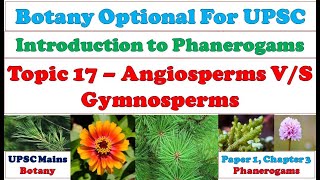 Angiosperms amp Gymnosperms –Difference Similarities Comparison Resemblance Affinities UPSC Mains [upl. by Emelyne882]