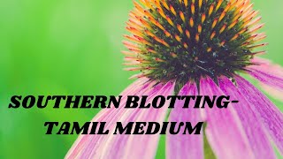 southern blotting techniquetamil medium [upl. by Nerehs845]