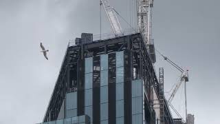 1 Leadenhall Street London England UK June 22 2024 [upl. by Gambell]