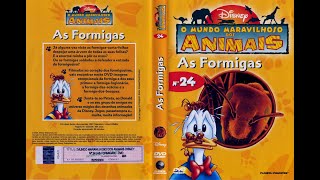 As Formigas  O Mundo Maravilho dos Animais  Episódio 24 [upl. by Aititil3]