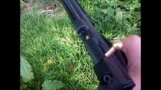 Crosman Ratcatcher 2250B [upl. by Aillil706]