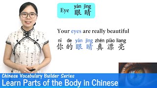 Learn Parts of the Body in Mandarin  Vocab Lesson 13  Chinese Vocabulary Builder Series [upl. by Ritch]