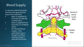 Topic Presentation Odontoid fractures [upl. by Bornstein]